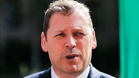 Fianna Fáil MEP calls for 'frank review' of party's presidential candidate selection process