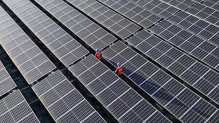 Renewable energy produces more electricity globally than coal for the first time