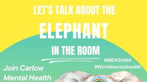 Mensana Fest tackles the elephant in the room
