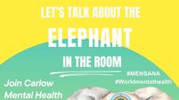Mensana Fest tackles the elephant in the room 