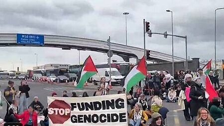 Use of force by garda against pro-Palestine protesters at Port Tunnel 'disproportionate'