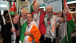 Concerns raised over new law that can strip someone of Irish citizenship in serious cases