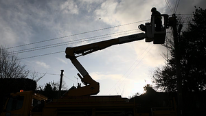 Landowner in dispute with ESB over tree trimming says damage caused is €64,000 Landowner in dispute with ESB over tree trimming says damage caused is €64,000