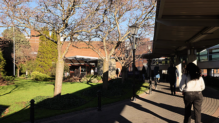 Hospital admits new HR and Payroll system overran by €3 million