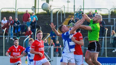 One of Carlow's big guns set for the drop