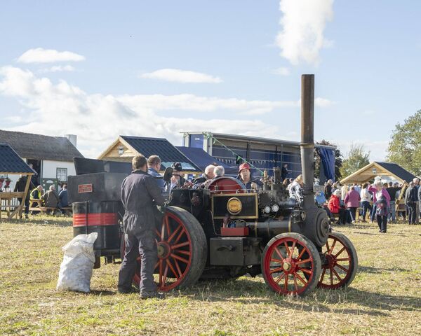 Various Steam engines were also display at the Castledermot Vintage Show Photos: Aisling Hyland