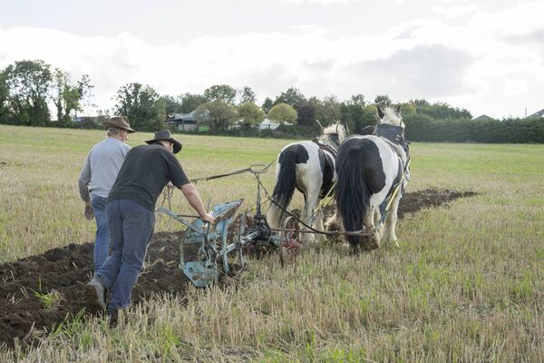 Showing how it was done, ploughing before the big machinery