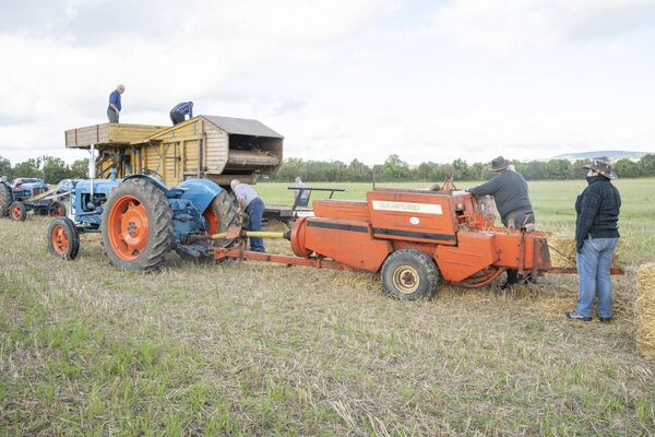 Threshing in Castledermot