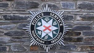 Man (20s) arrested following armed robbery of retail premises in Co Dublin