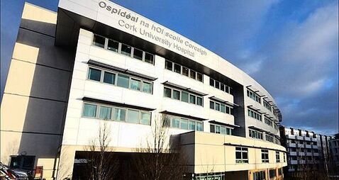 Two men (20s) arrested after serious assault of man in Co Tipperary