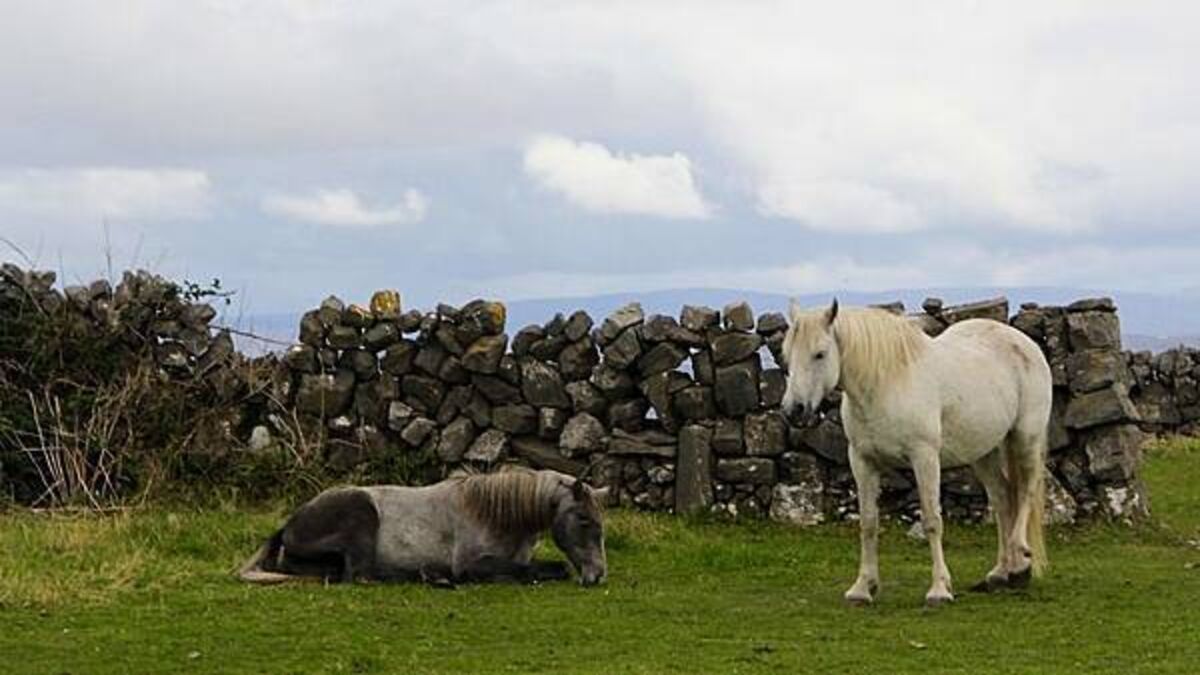 Irish folklore in Meath and Laois: Gates that won't close and the House of Death