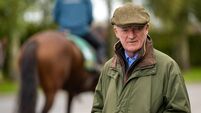 Closutton all set for another busy season
