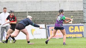 As I Roved Out: A stanza for Setanta As I Roved Out: A stanza for Setanta