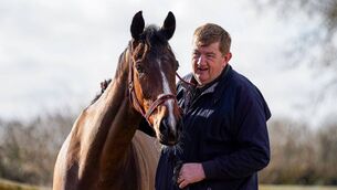 <p>The Shark Hanlon trained Hewick makes his first appearance of the season tomorrow in Thurles</p>