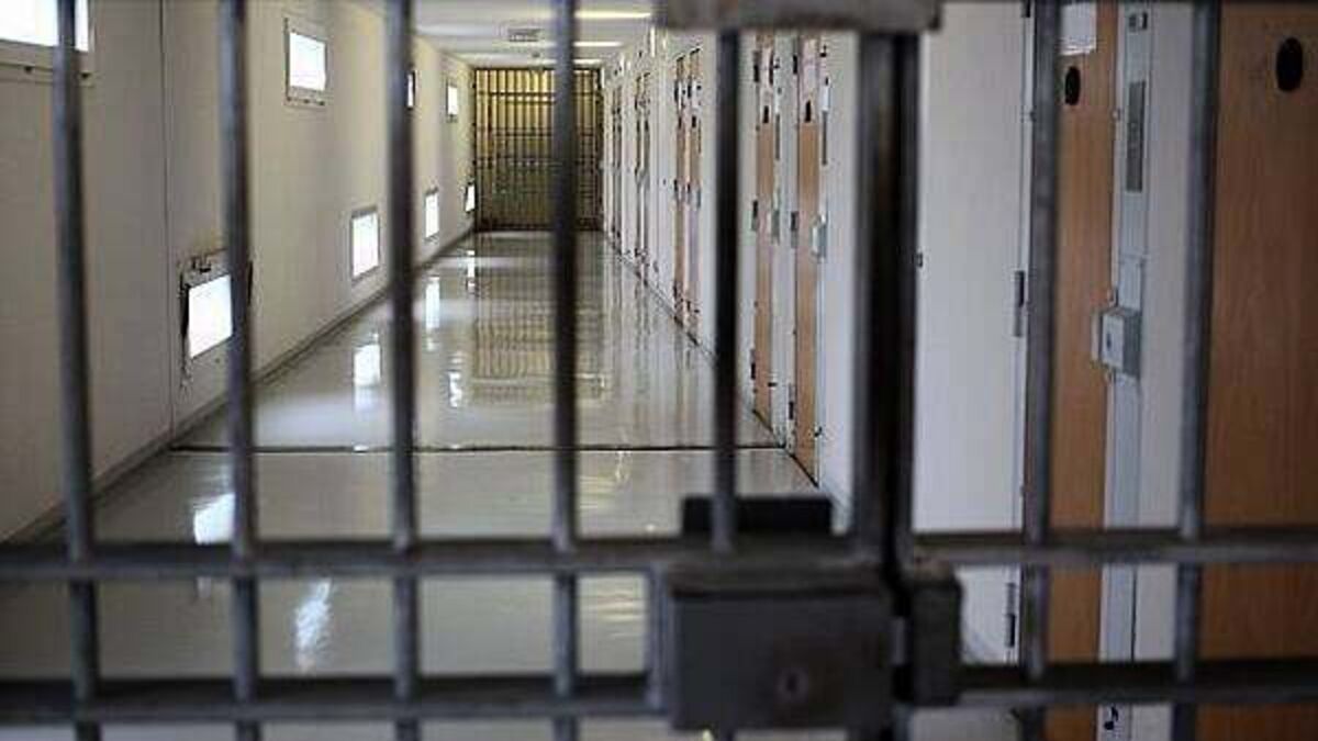 Man (41) who assisted 'ghosts' to enter State unlawfully jailed