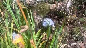 Animal charity outraged after kitten found suffocated in plastic bag and dumped in Donegal Animal charity outraged after kitten found suffocated in plastic bag and dumped in Donegal