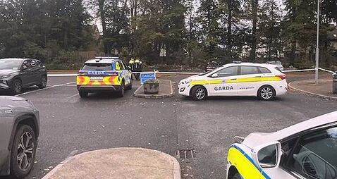 Man injured in hit-and-run in Limerick village