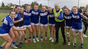 ‘Ogled Out in Old Leighlin’ revisited