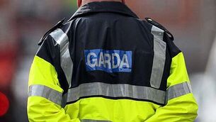 Garda whose nose was broken by colleague was almost equally to blame for incident, judge rules