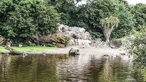 Fota Wildlife Park to remain closed Fota Wildlife Park to remain closed