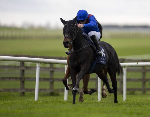 David Dunson leads the Willie Mullins trained Sirius to win the Amateur Riders Derby at The Curragh last week Photo: Patrick McCann/Racing Post  David Dunson leads the Willie Mullins trained Sirius to win the Amateur Riders Derby at The Curragh last week Photo: Patrick McCann/Racing Post