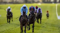 Flat season winding down as jumps action beings to take over