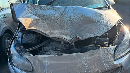 Motorist backs call for signage on Meath road after collision with deer