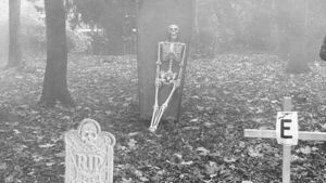 Emergency services warn public to take extra precautions over Halloween