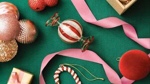 Woman who stole from store given 120 days to pay