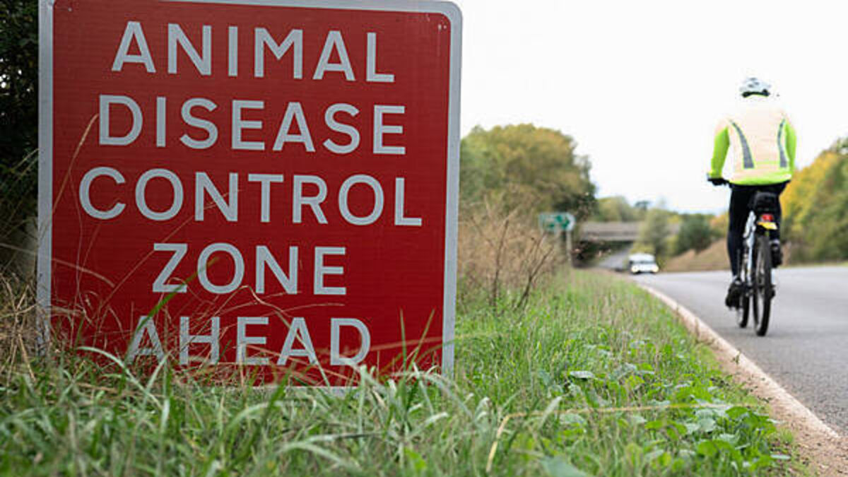 Another suspected case of avian flu found in commercial flock in Co Tyrone