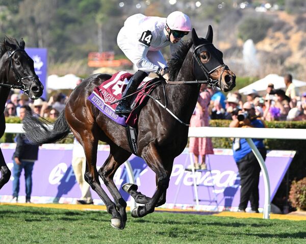 Ethical Diamond with Dylan Browne McMonagle on board on the way to winning the Breeders' Cup for trainer Willie Mullins Photo: Healy Racing Ethical Diamond with Dylan Browne McMonagle on board on the way to winning the Breeders' Cup for trainer Willie Mullins Photo: Healy Racing