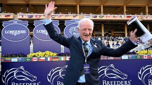 <p>Willie Mullins celebrates Ethical Diamond's Breeders' Cup win Photo: Healy Racing</p> <p>Willie Mullins celebrates Ethical Diamond's Breeders' Cup win Photo: Healy Racing</p>