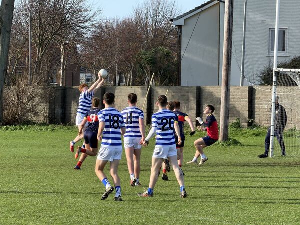 Eoin Ryan palms home the first of his two goals