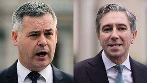 'You're a bully': Dáil sees heated exchange between Harris and Doherty over cost of living