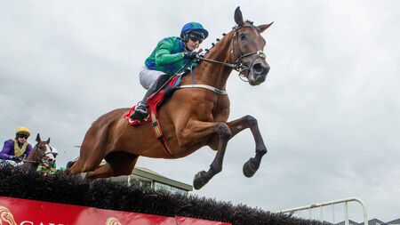 Top level jump racing returns to Naas Racecourse this Sunday