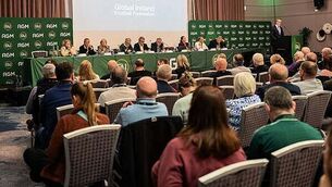 Saipan filmmaker told he was going to ‘open old wounds’