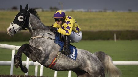 Il Etait Temps sets up a Tingle Creek clash with Jonbon, while Spindleberry's owner is dreaming of Gold Cups