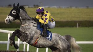 Il Etait Temps sets up a Tingle Creek clash with Jonbon, while Spindleberry's owner is dreaming of Gold Cups