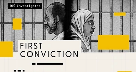 Court interpreter in overturned female genital mutilation case worked on 240 other cases, RTÉ finds