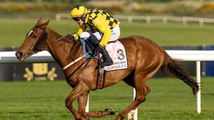 <p>State Man has picked up a tendon injury that will rule him out for the season Photo: ©INPHO/Morgan Treacy</p>