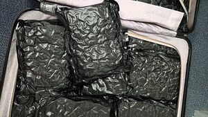 Man (20s) arrested after 30kg of cannabis seized at Shannon Airport