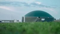 Developer challenges planning decision on Castledermot biogas plant 