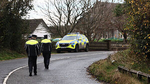 President Connolly leads tributes to five young people killed in 'devastating' Louth crash