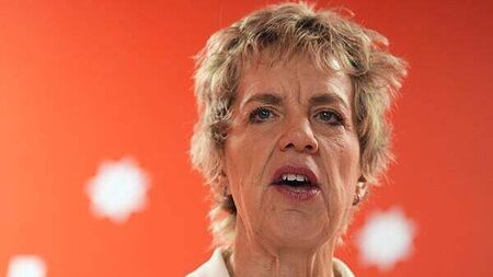 Labour leader Ivana Bacik says Irish unity stance is not about Sinn Féin