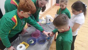 <p>Gaelscoil pupils enjoy Science Week activities</p> <p>Gaelscoil pupils enjoy Science Week activities</p>