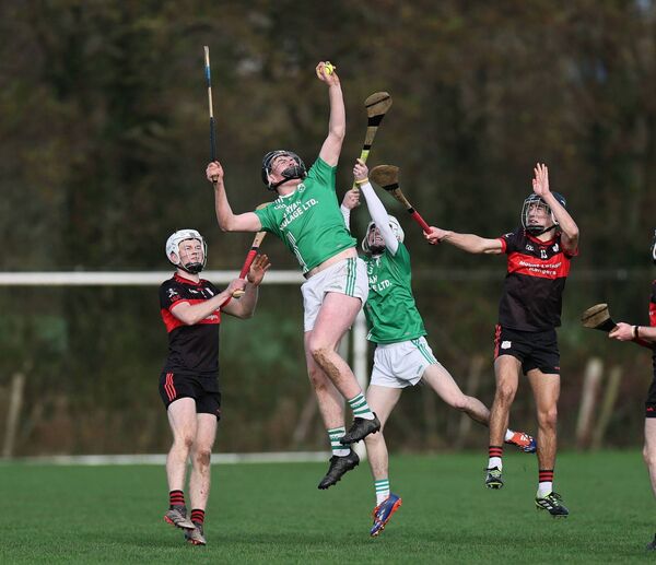 Naomh Moling's Mark O'Shea plucks a high ball out of the sky against Mount Leinster Rangers in the U21 Hurling Championship A semi-final in COE, Fenagh, on Sunday.