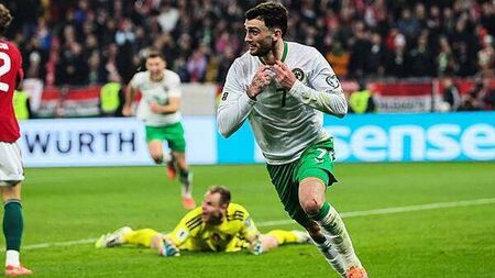Parrott's Ireland heroics born from struggles in English football