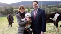 Consultation on new animal welfare strategy