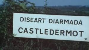 Council refuses permission for seven-home development in Castledermot