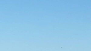 Initial report into fatal plane crash in Co Waterford due within 30 days